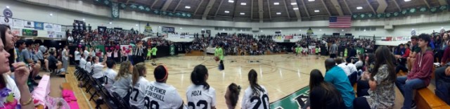 roswell high school basketball